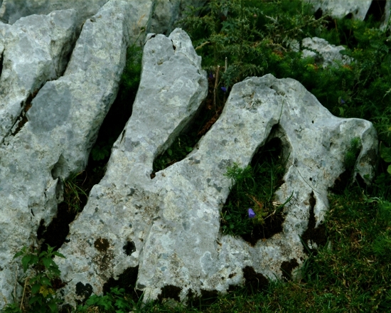 Sculture naturali